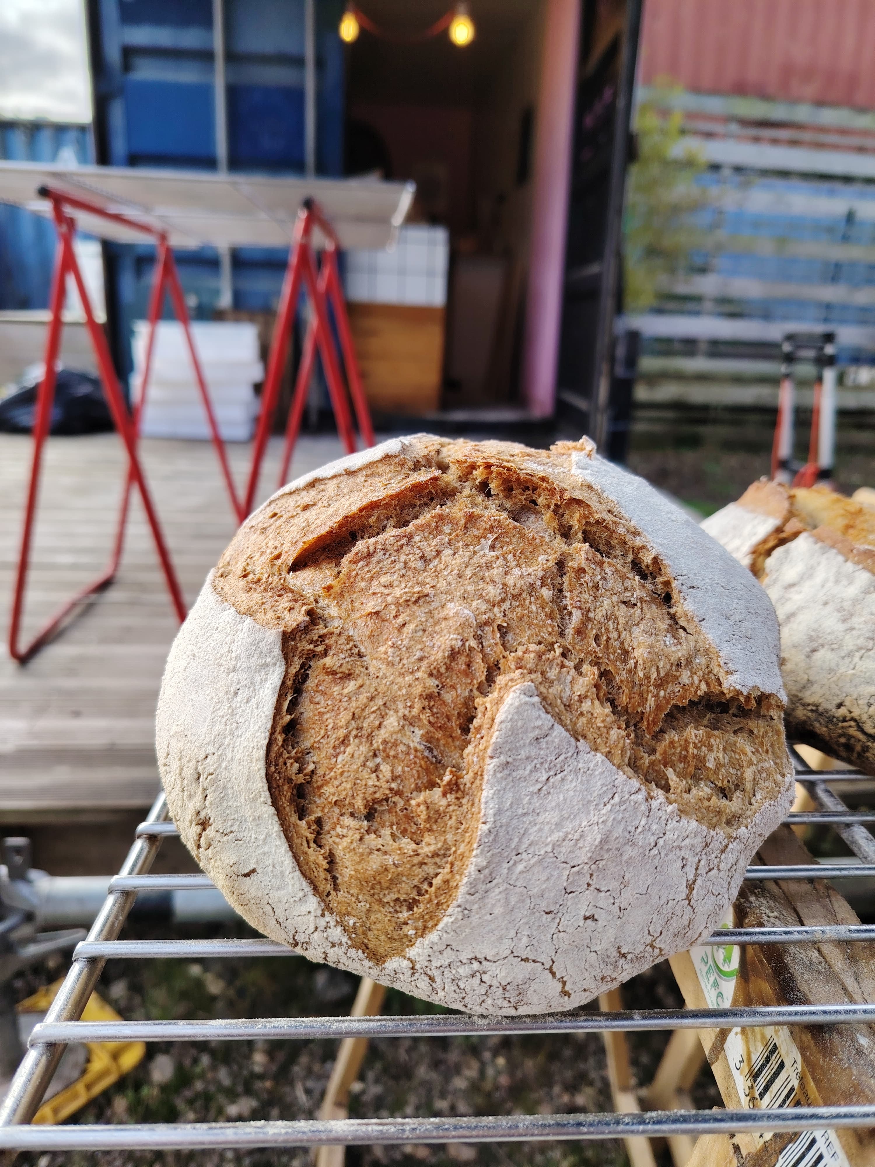Pain complet au levain — photo à remplacer